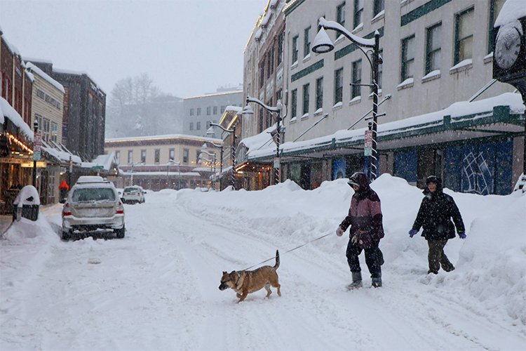 The Winter Walk That Made My Street Feel Alive Again