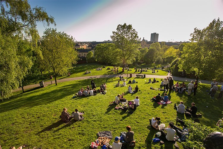 Why Urban Rewilding Works Best When People Stay in the Picture