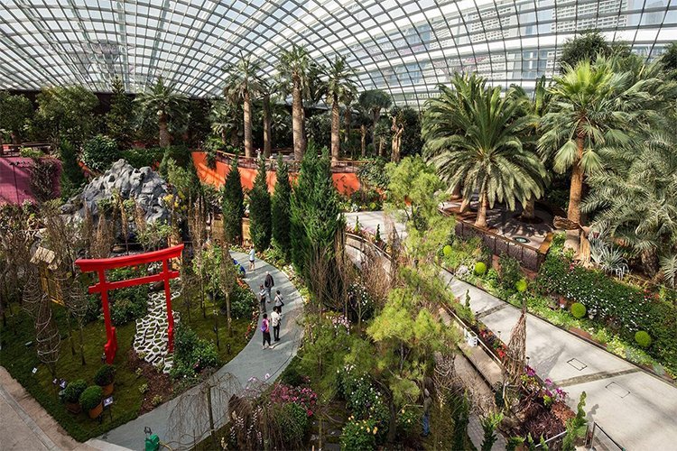 Urban Rewilding Isn't a Trend — It’s a “How Do We Keep Cities Livable?” Tool