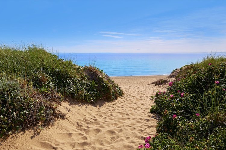 The 10 Best Beaches on Cape Cod