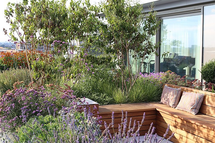 The One Backyard Corner I Stopped “Fixing” — And What Showed Up Instead