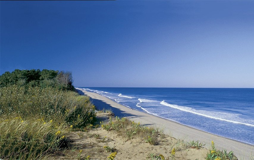 The 10 Best Beaches on Cape Cod