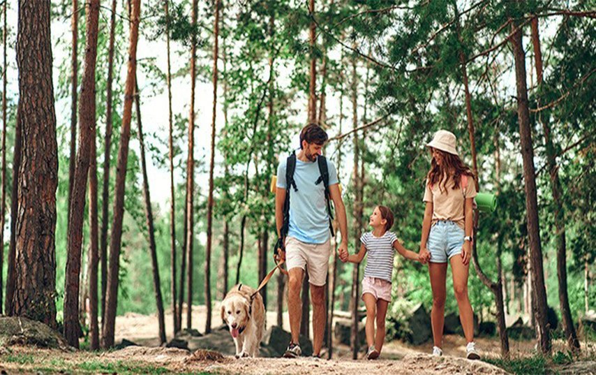 The “One App” That Turned My Walk Into a Tiny Nature Treasure Hunt