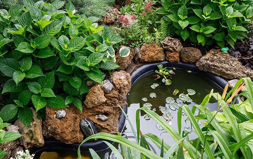The “Tiny Pond Bowl” I Added — And Why It Changed My Whole Yard Faster Than Plants Did
