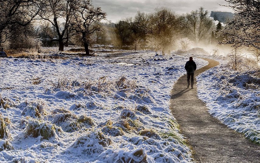 The Winter Walk That Made My Street Feel Alive Again