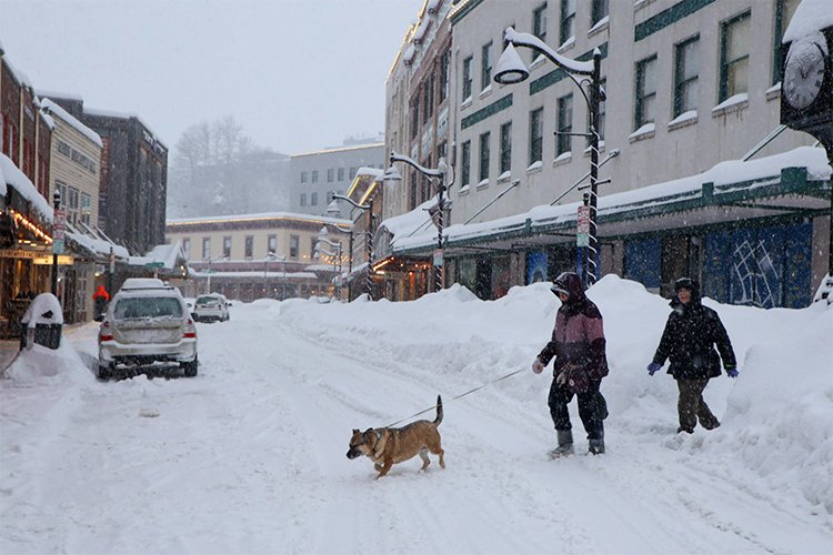 The Winter Walk That Made My Street Feel Alive Again