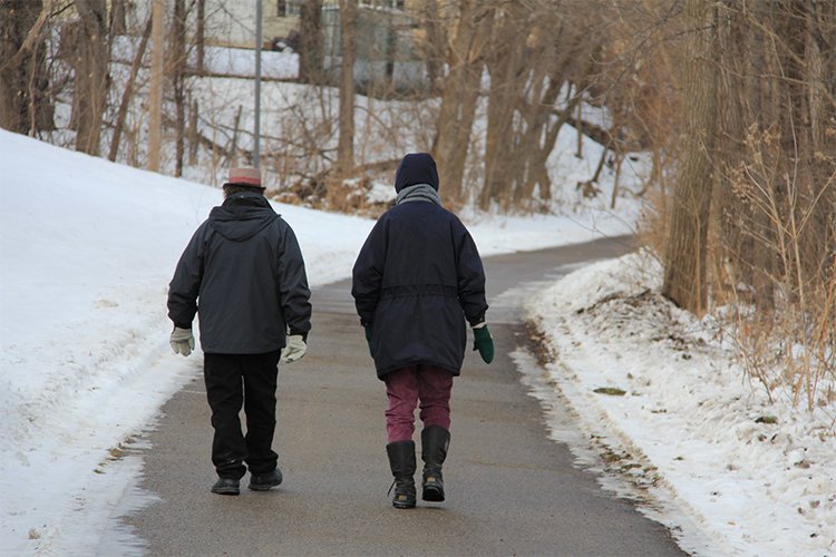 The Winter Walk That Made My Street Feel Alive Again