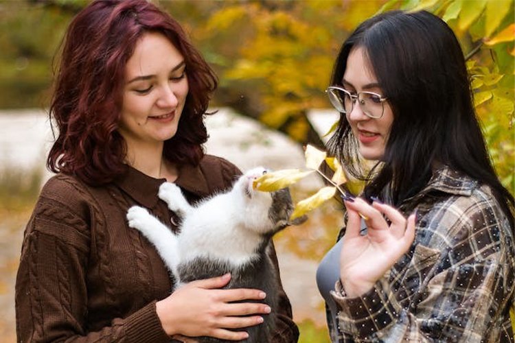 Why Pet Meetups Became the Best Part of My Week