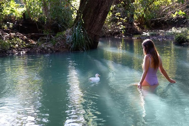 The Quiet Nature Weekend I Took When I Needed My Brain Back