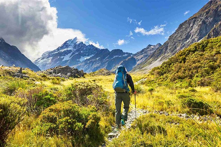 The Quiet Nature Weekend I Took When I Needed My Brain Back