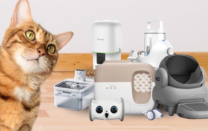Smart Devices That Helped Me Care for My Cat While I’m Away