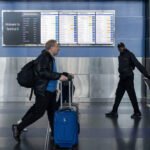 Why Pet Meetups Became the Best Part of My Week The 15-Minute “Arrival Walk” That Makes Any New City Feel Familiar