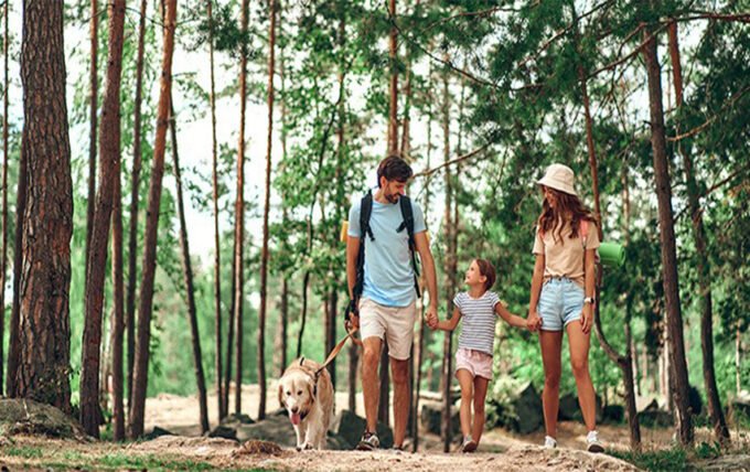 The “One App” That Turned My Walk Into a Tiny Nature Treasure Hunt