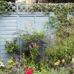 The One Backyard Corner I Stopped “Fixing” — And What Showed Up Instead