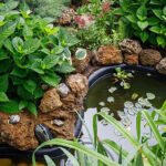 The “Tiny Pond Bowl” I Added — And Why It Changed My Whole Yard Faster Than Plants Did