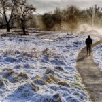 The Winter Walk That Made My Street Feel Alive Again