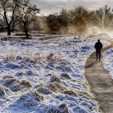 The Winter Walk That Made My Street Feel Alive Again