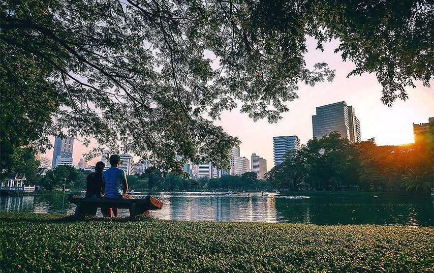 Urban Rewilding Isn’t a Trend — It’s a “How Do We Keep Cities Livable?” Tool Urban Rewilding Isn’t a Trend — It’s a “How Do We Keep Cities Livable?” Tool